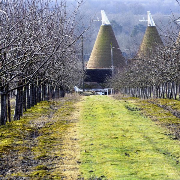 Kent - The Garden of England